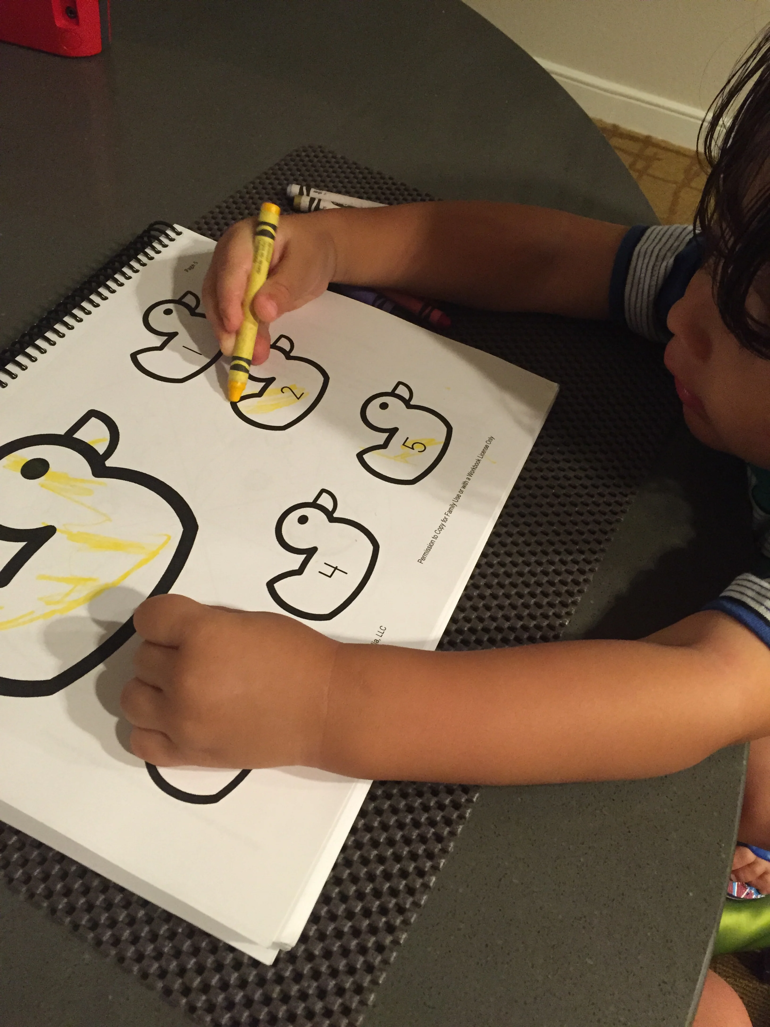 Working on a work sheet in our suite. Marriot Shadow Ridge.