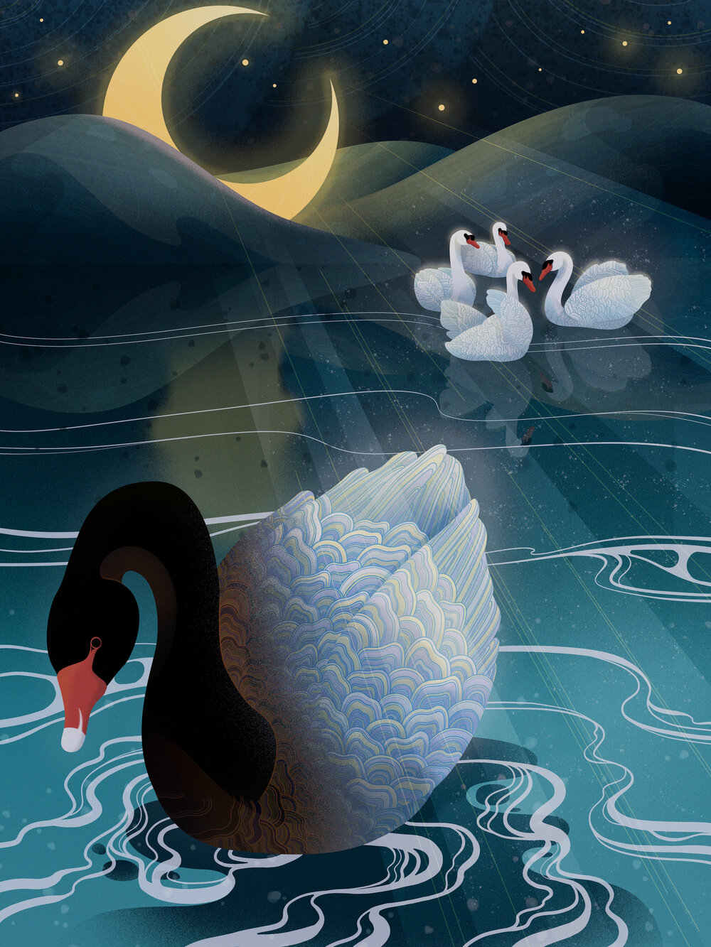 Hidden Black Swan — Weitong Mai Hidden Black Swan — Weitong Mai