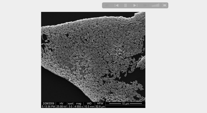 25nm gold nanorodz by Nanopartz