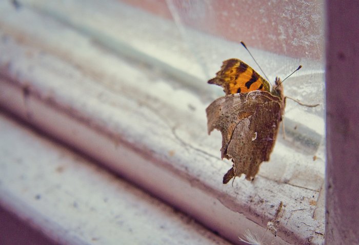 20100324b.jpg