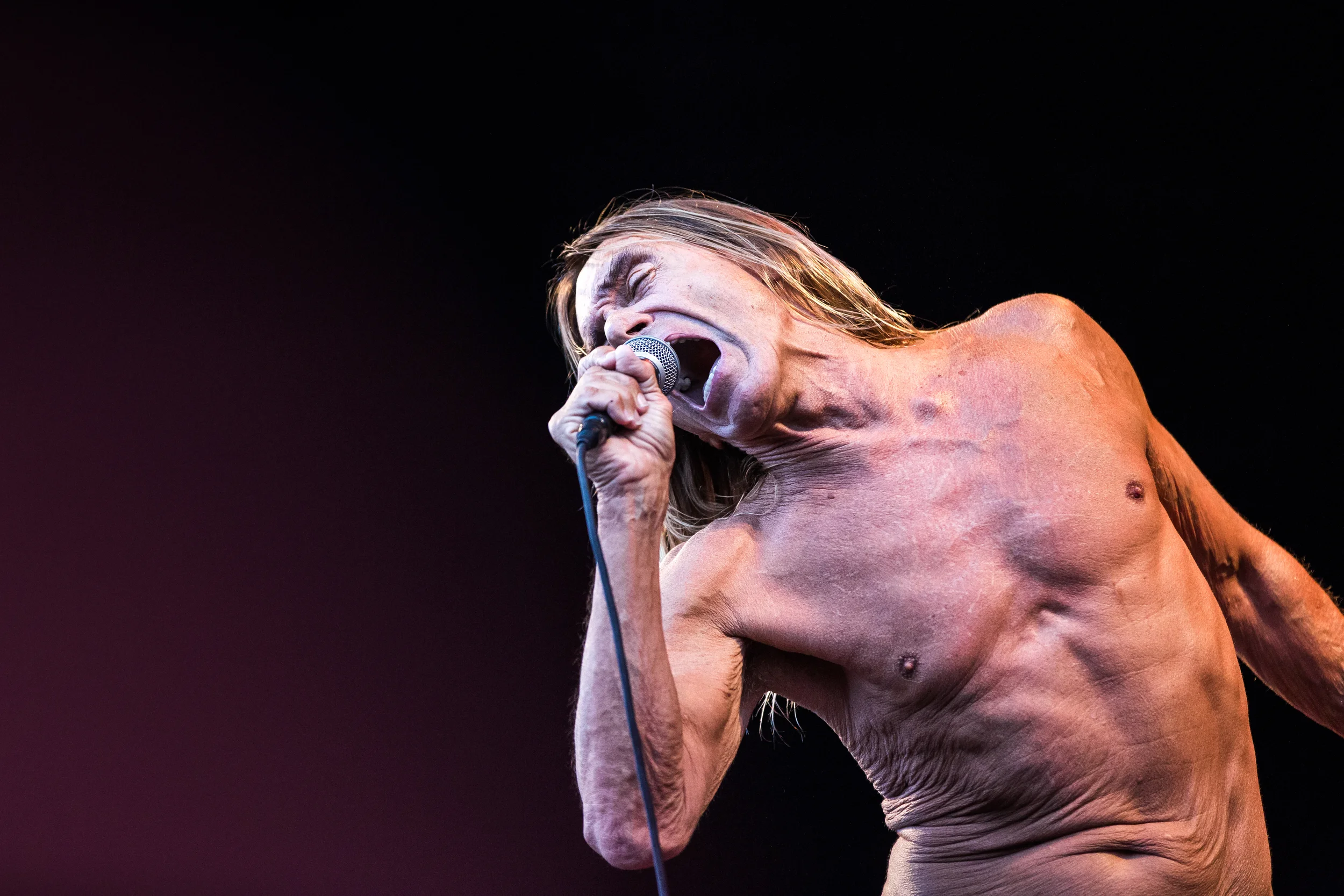 iggy pop-2.jpg