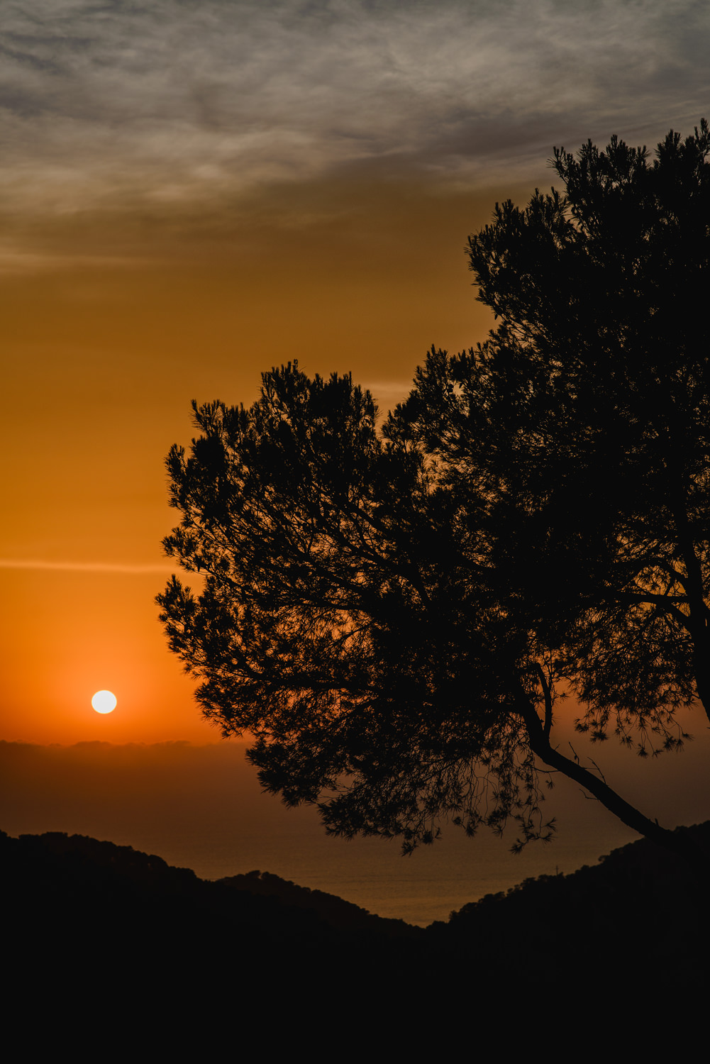 DARIO-SANZ-IBIZA-WEDDING-164.jpg