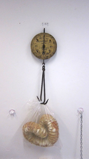 photoweight.JPG