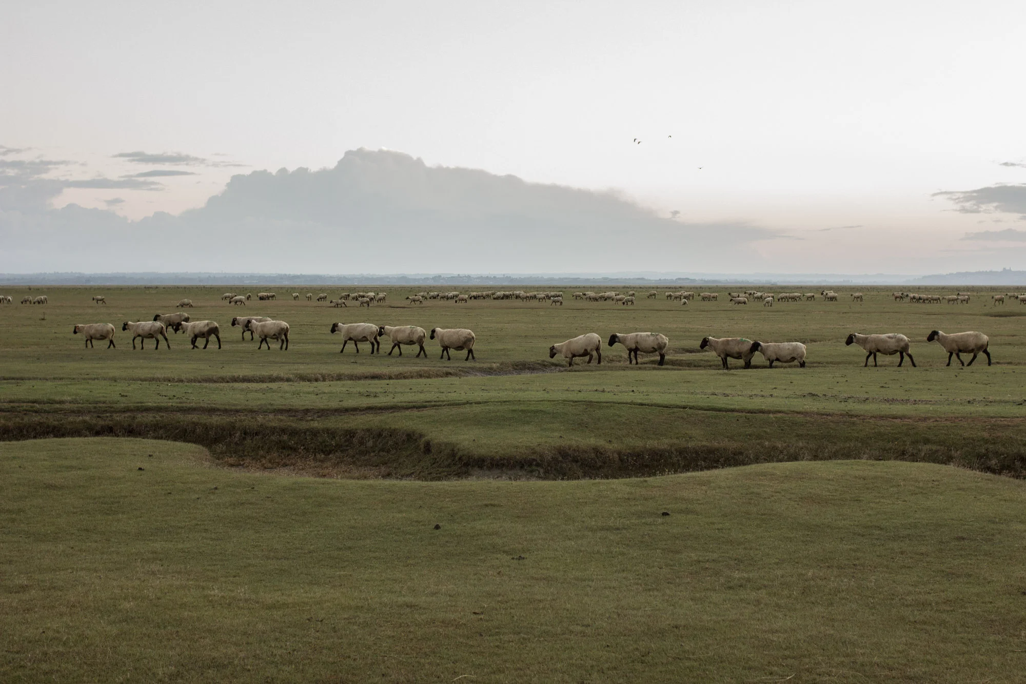 Mont Saint Michel
