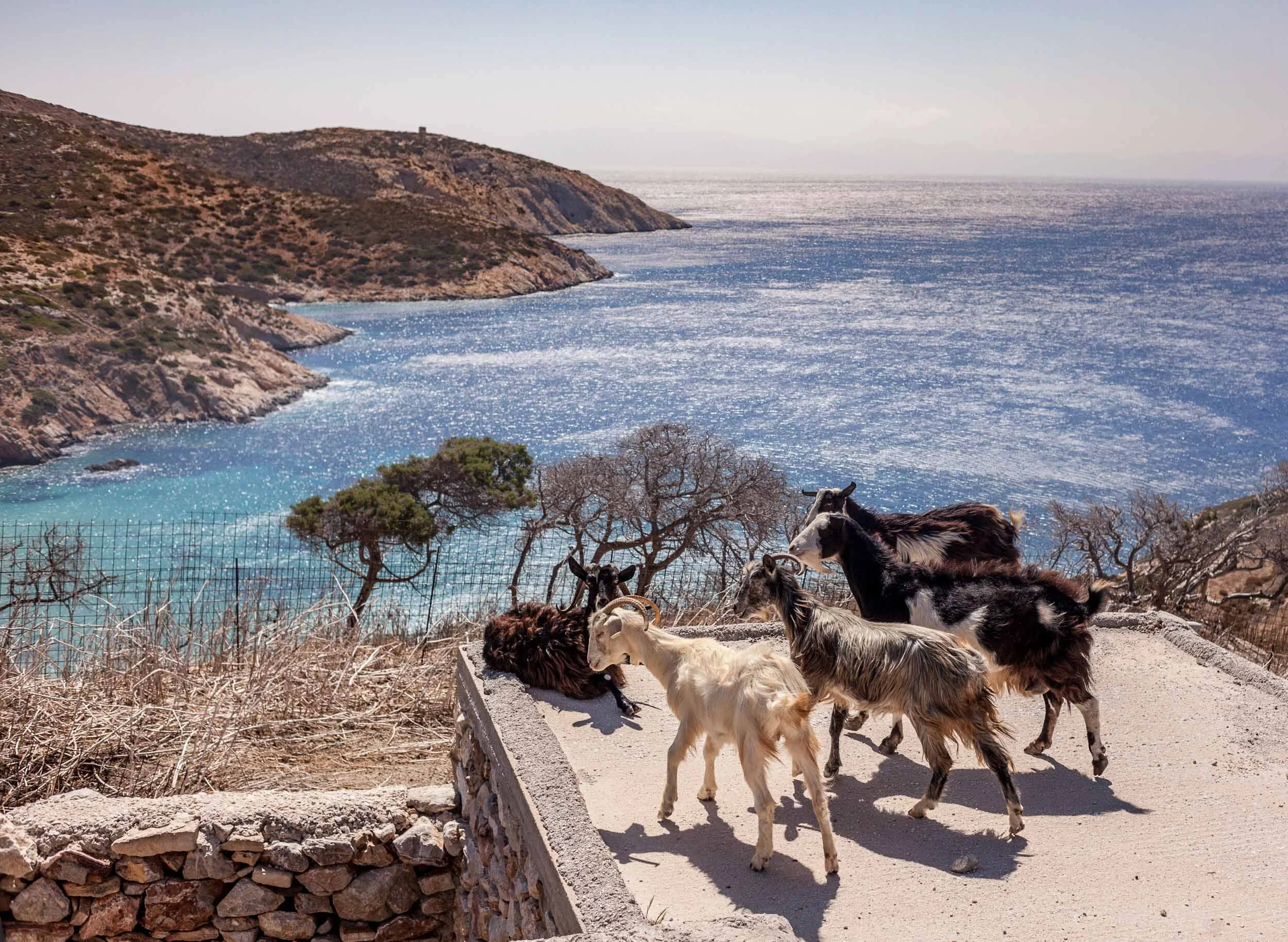 Greece20.jpg