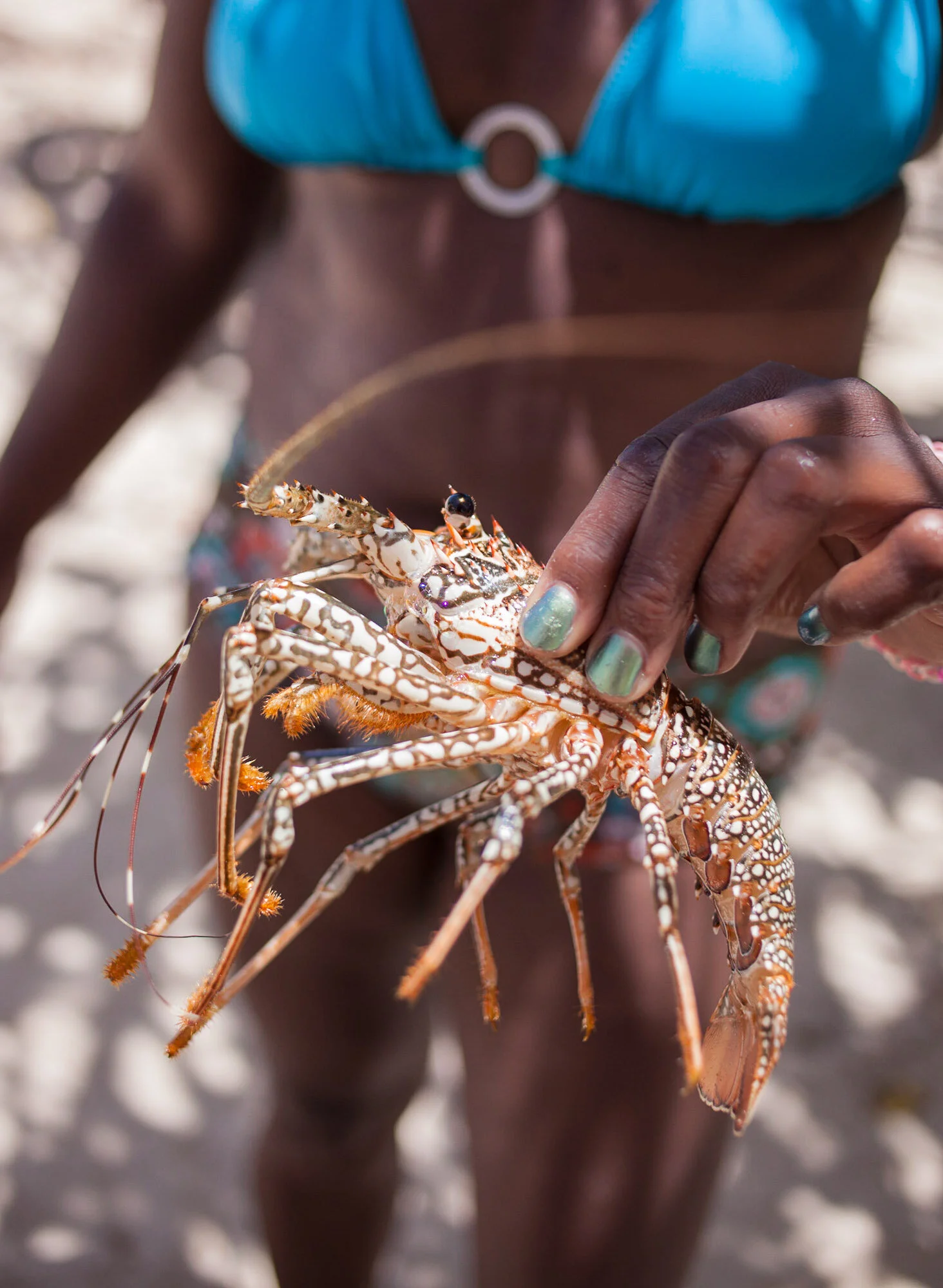 guadeloupe01.jpg