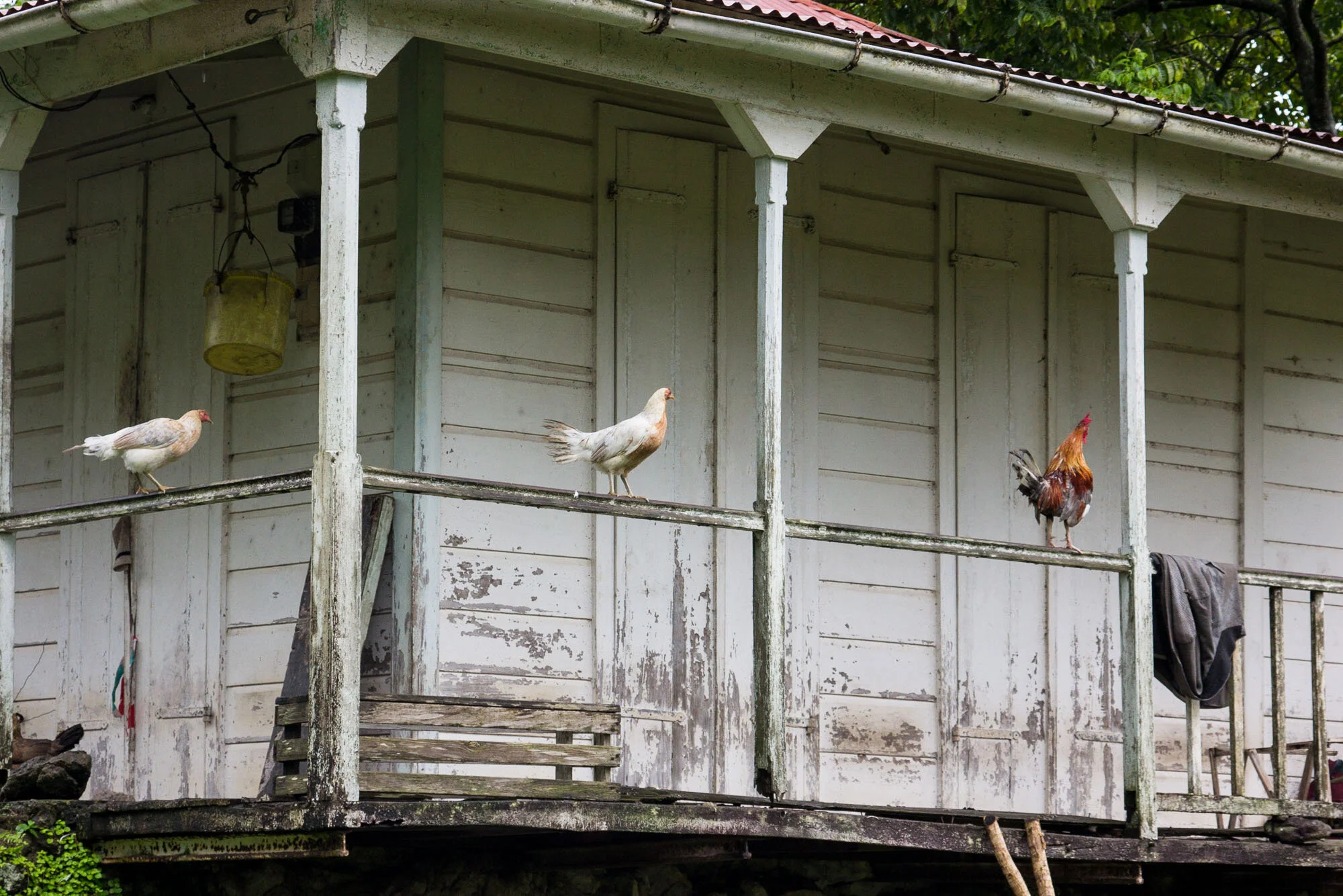 guadeloupe05.jpg