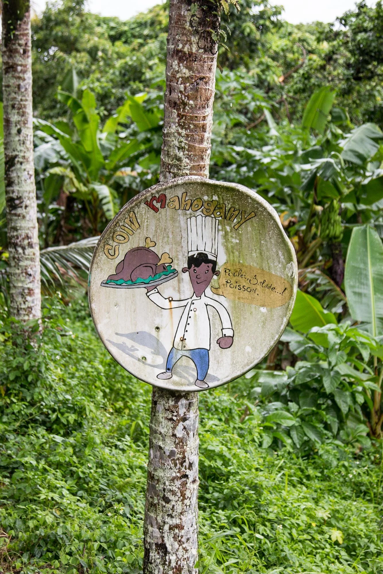 guadeloupe08.jpg