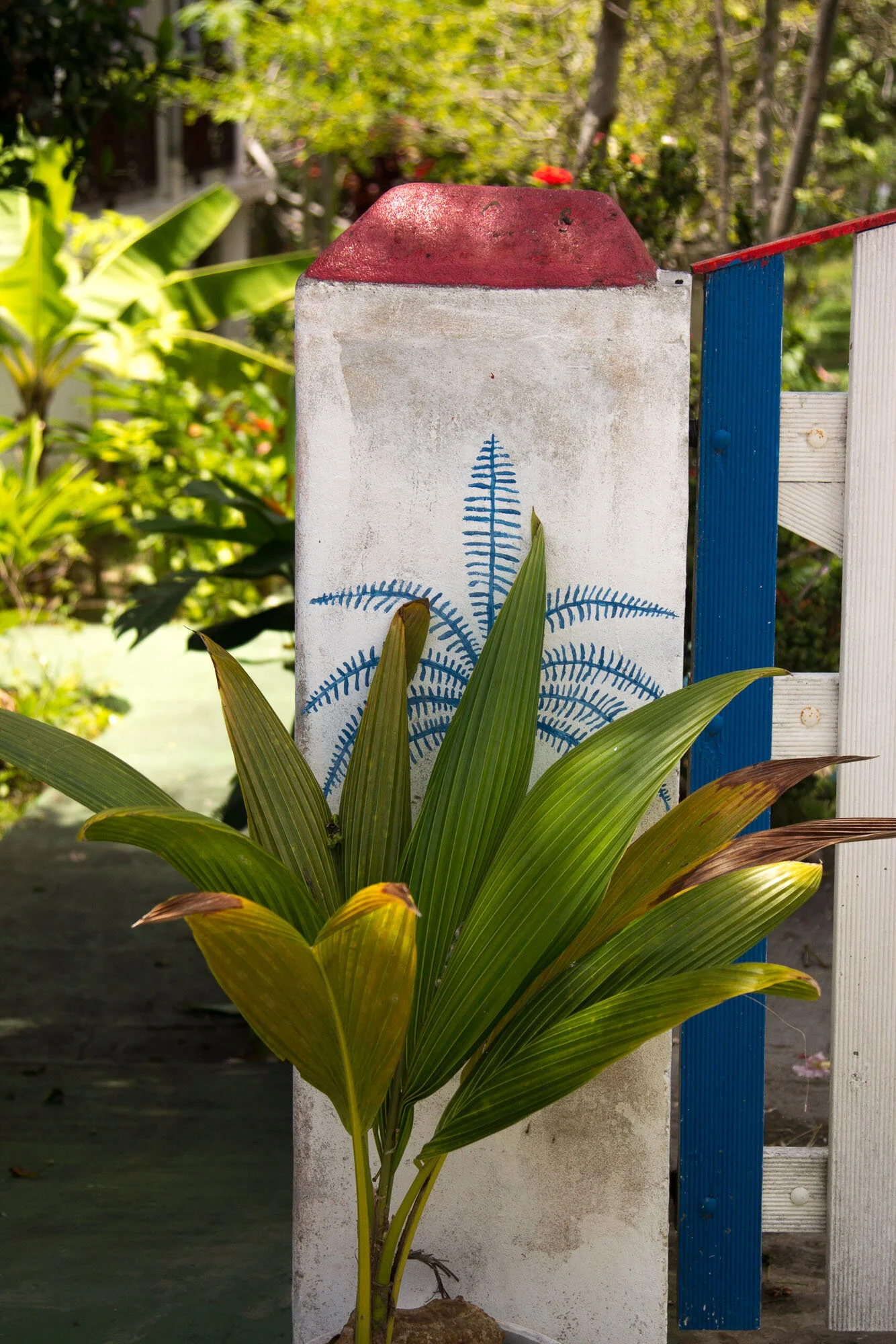 guadeloupe30.jpg
