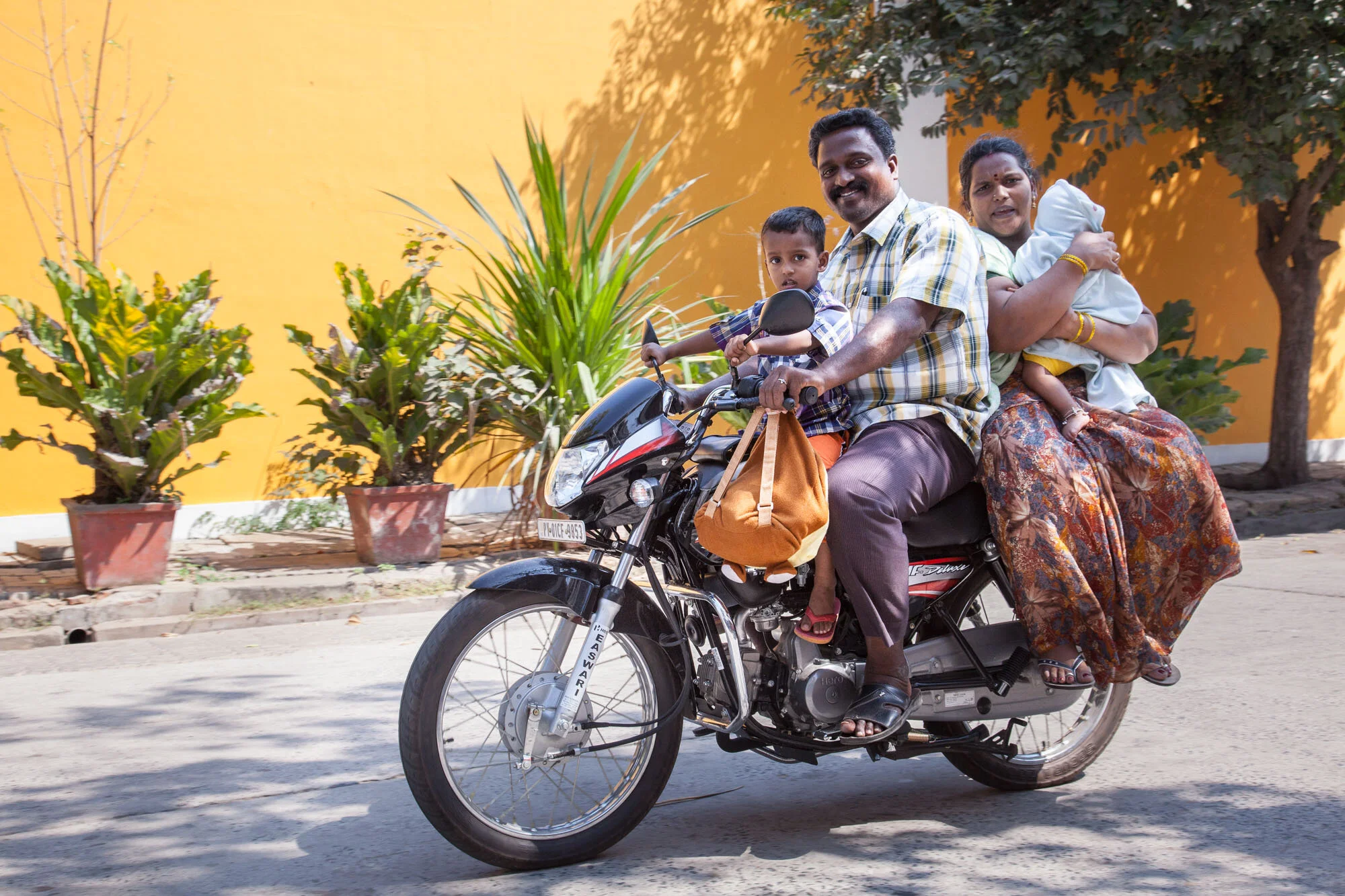 india03.jpg