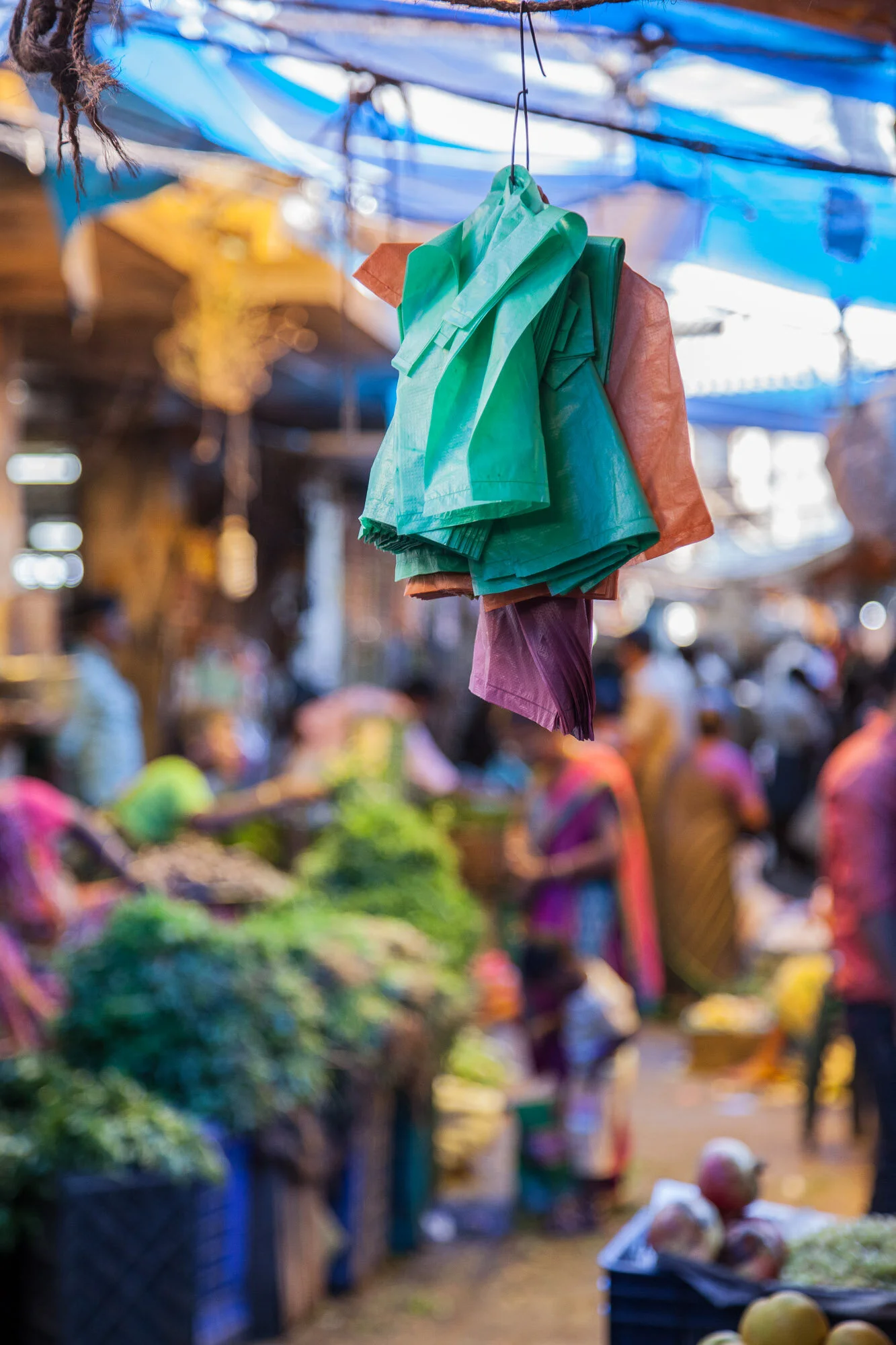 india33.jpg