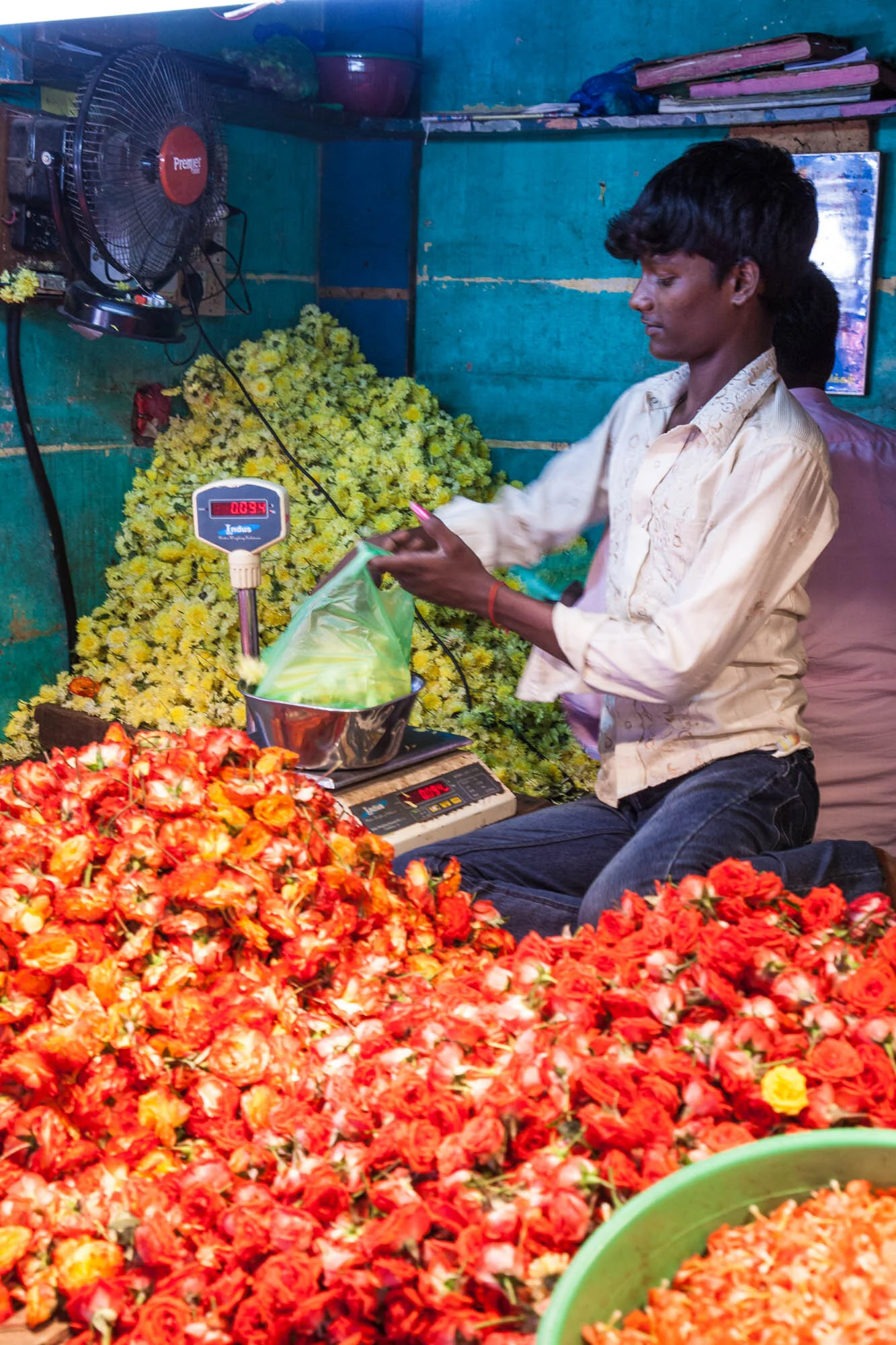 india36.jpg
