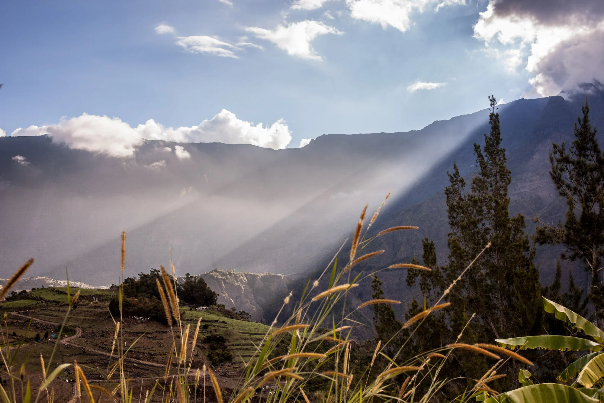 lareunion04.jpg