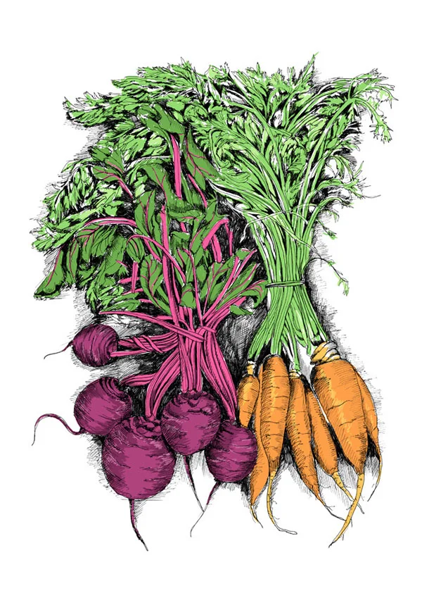 May_van_Milingen-beetroot-and-carrots.jpg