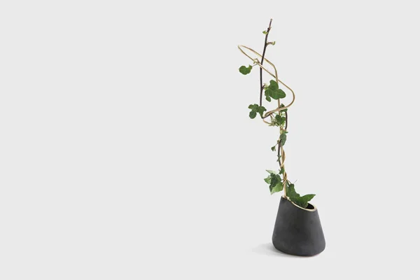 Ivy_vase_Carl_Aubock.jpg