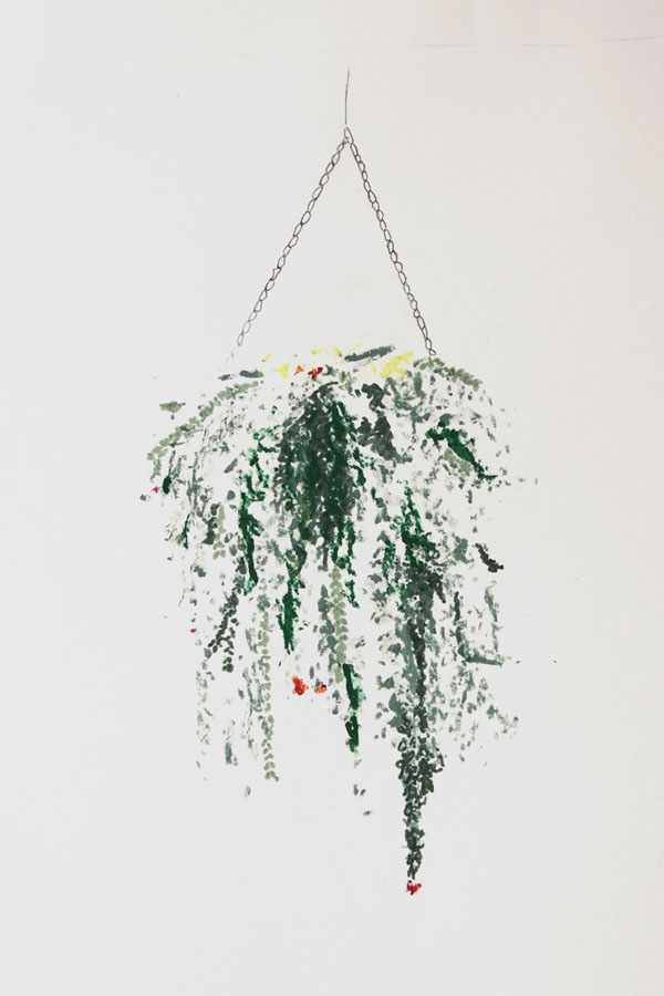 Green_Hanging_cacti_Alicia_Galer_The_Garden_Edit_Design_Hunter.jpg