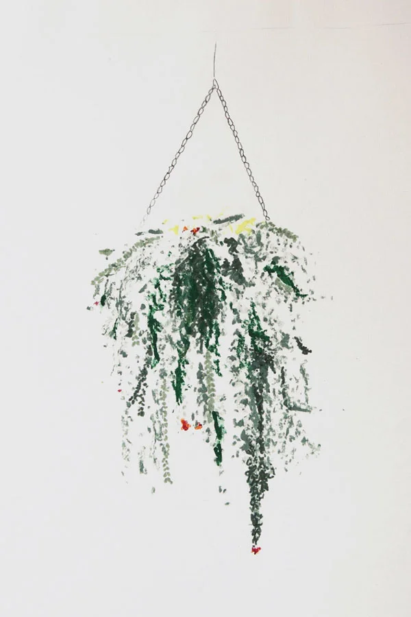 Green_Hanging_cacti_Alicia_Galer_The_Garden_Edit_Design_Hunter.jpg