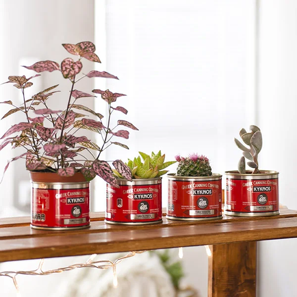 My_Paradissi_apartment_plant_pot_tins.jpg
