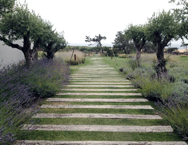 Areias_Do_Seixo_Jo_Robinson_Design_Hunter_6.jpg