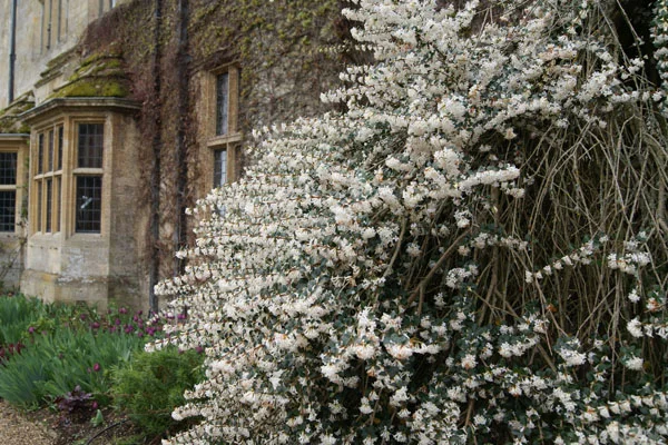 Sudeley_Castle2.jpg