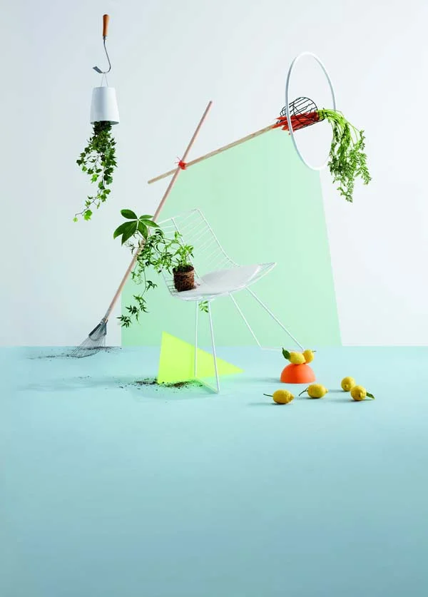 Grow_Shot_01_F3_LANDSCAPE.jpg