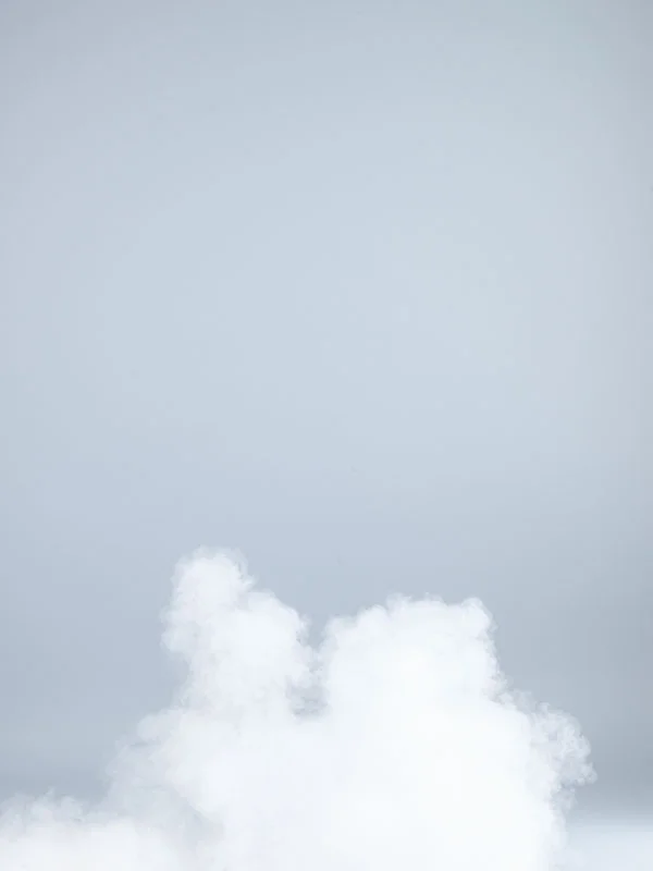 atelierlaurepaschoud-lionelhenriod-aw13-00d.jpg