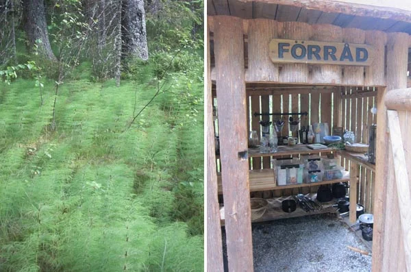 Kolarbyn_fern_and_stores_Design_Hunter.jpg