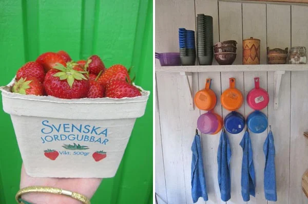 Kolarbyn_strawberries_Design_Hunter.jpg