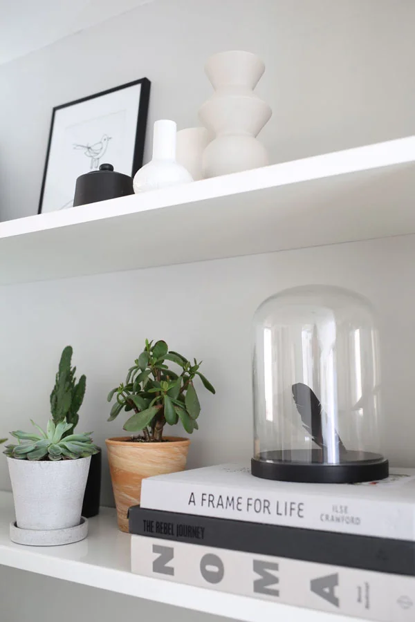 Succulents and books on shelf | Design Hunter