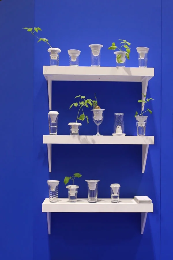 Plantation by Alicja Patanowksa - The Fiera Edit