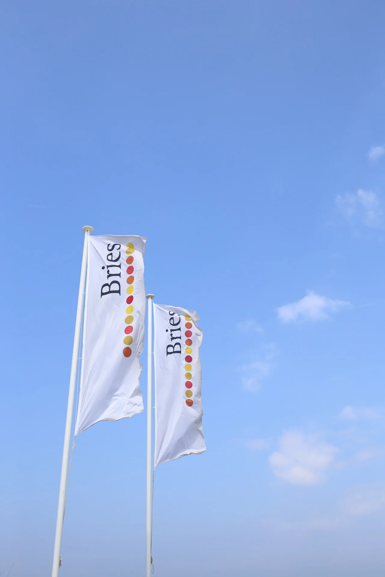 Bries beach club Noordwijk | Design Hunter