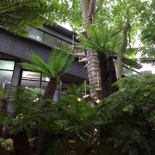 CanopyStair by Robert McIntyre &amp; Thorwald Ter Kulve