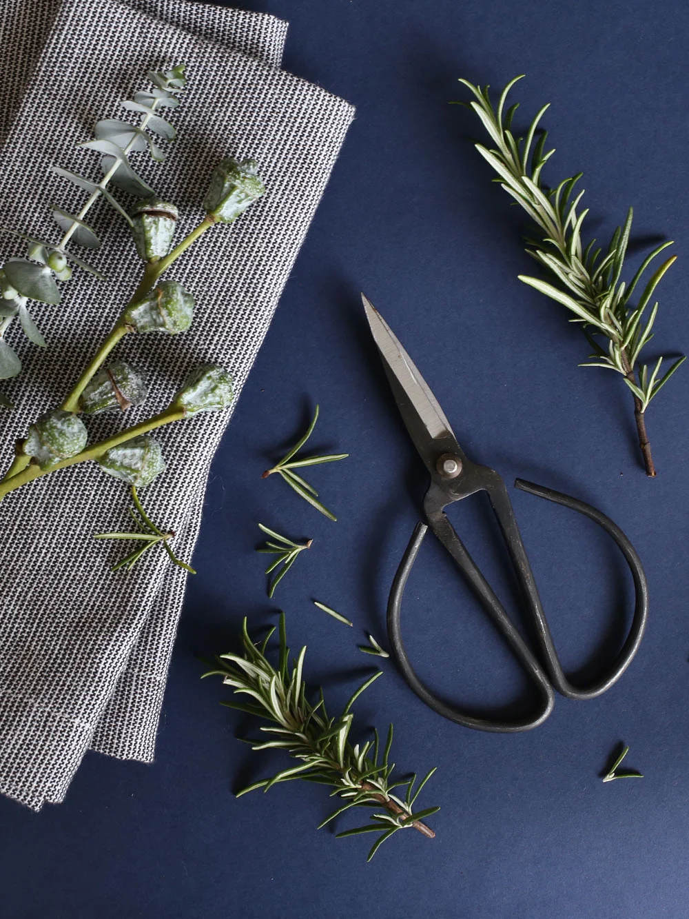 Rosemary and eucalyptus | Design Hunter