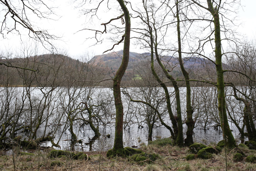 Elterwater | Design Hunter