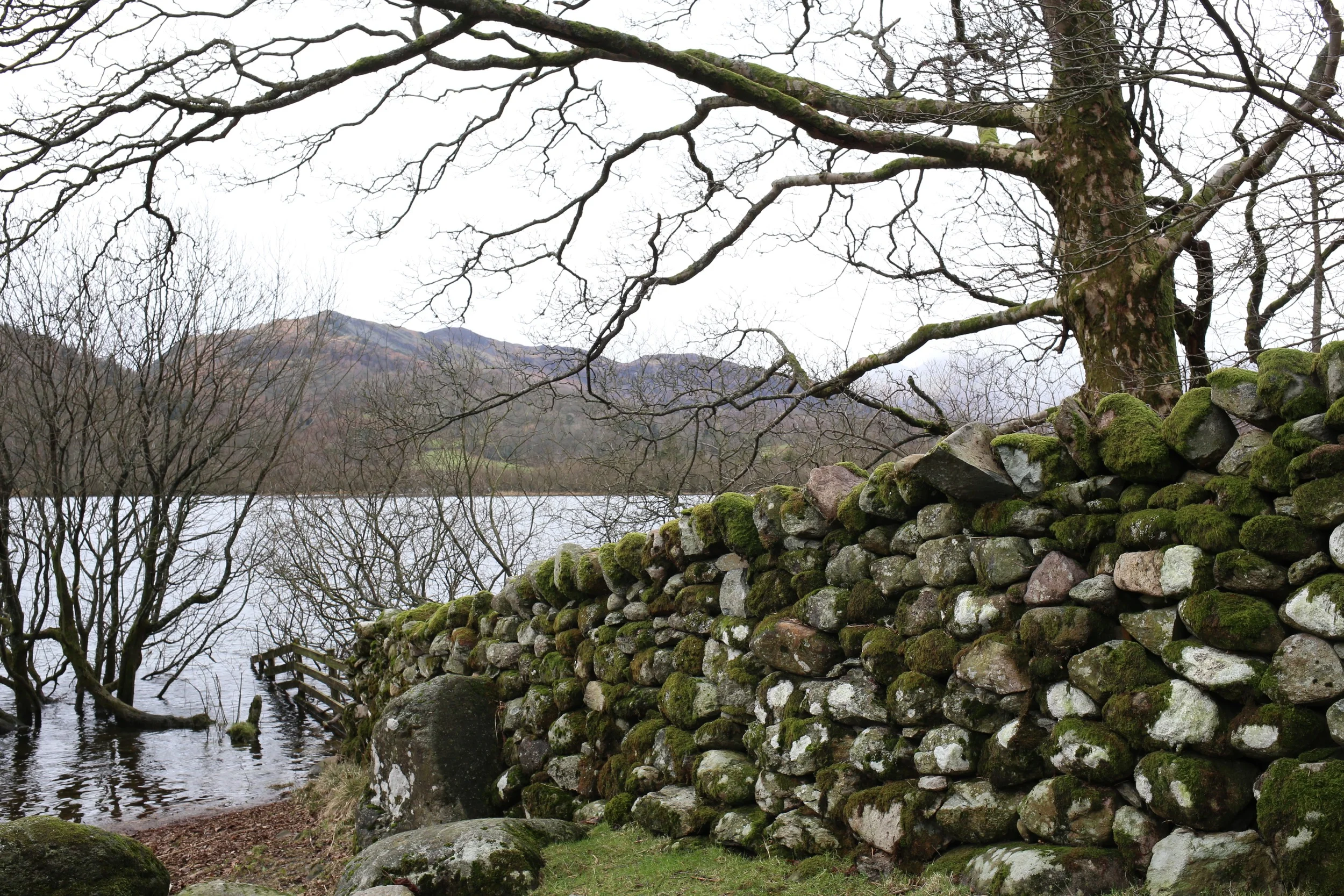 Mossy stone wall - Elterwater, Cumbria | Design Hunter