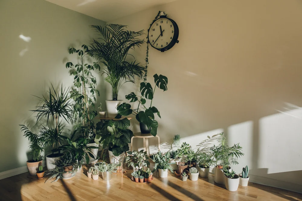Home Tour | The Haarkon House