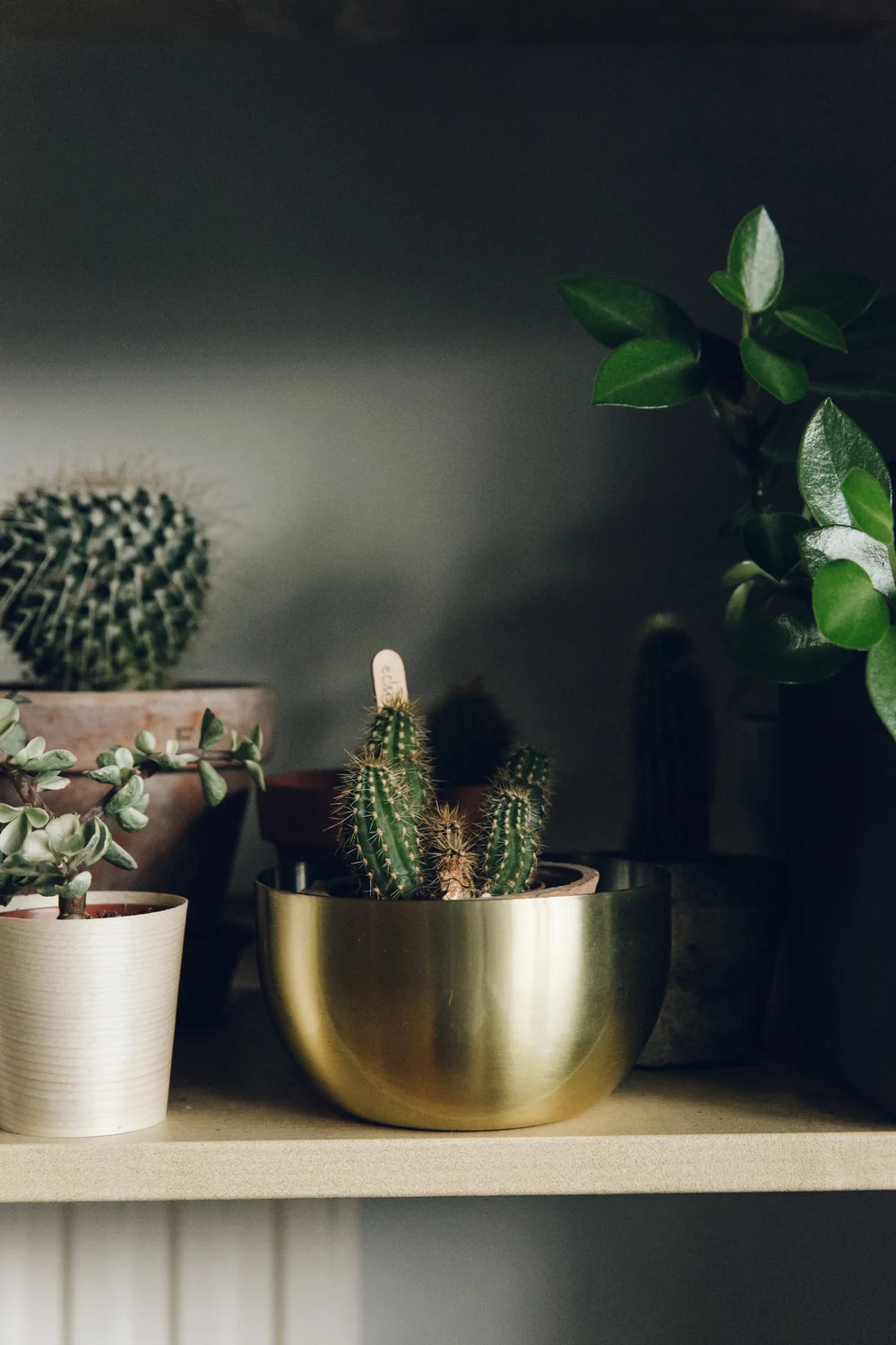 Home Tour | The Haarkon House