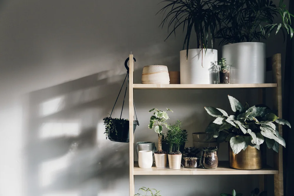 Home Tour | The Haarkon House