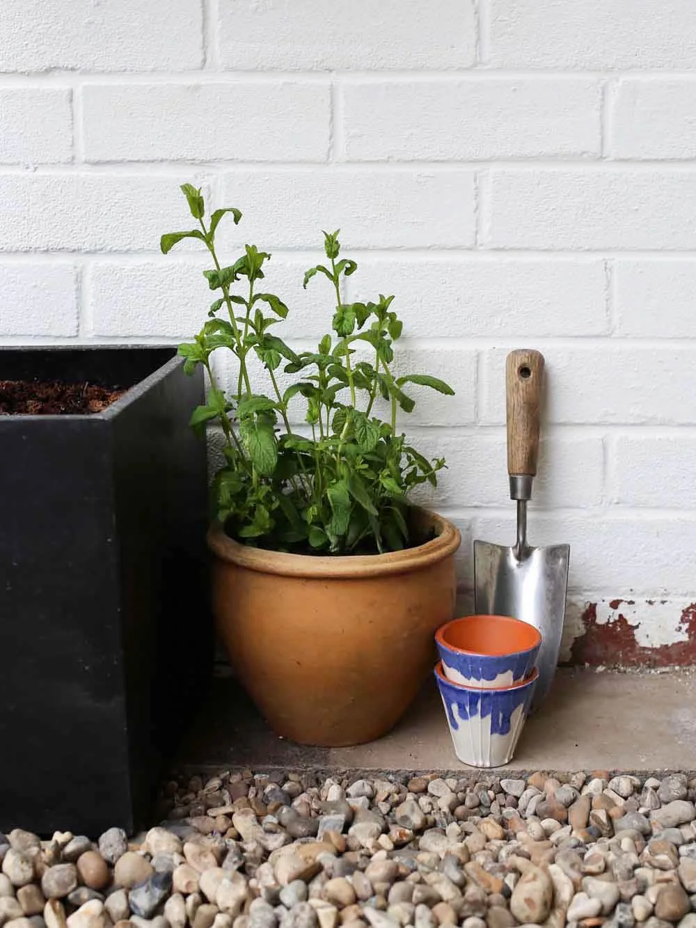 Plant pots | Design Hunter