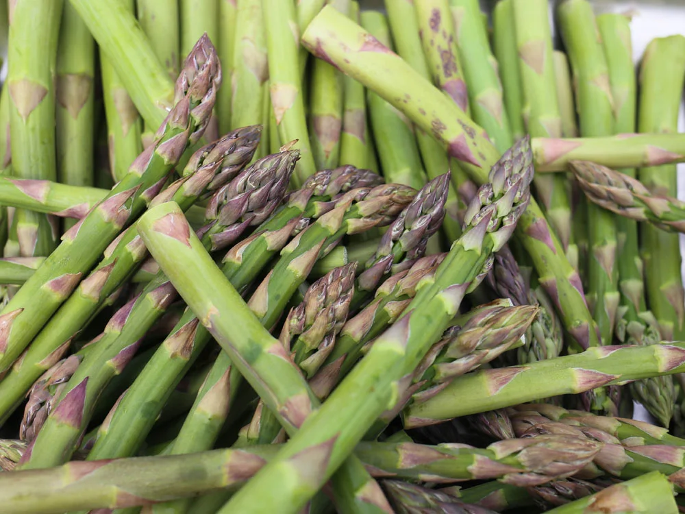Asparagus tips | Design Hunter