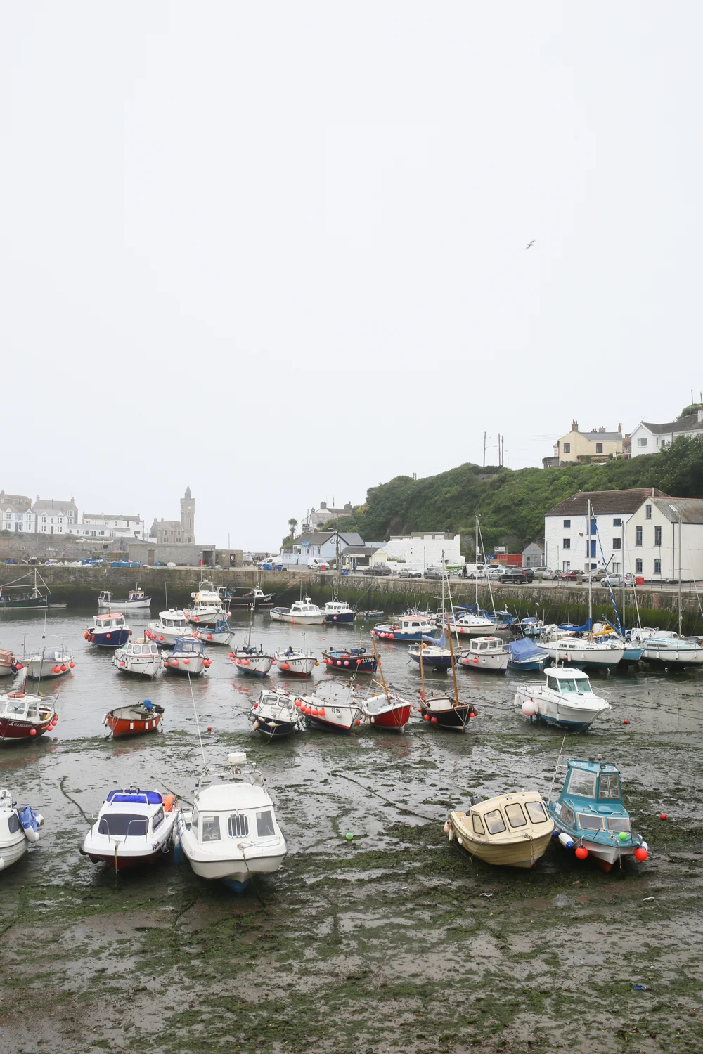 Porthleven Harbour | Design Hunter