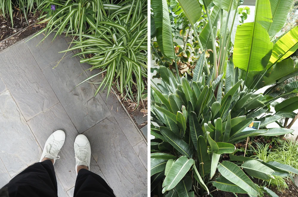 Botanical gardens | Design Hunter