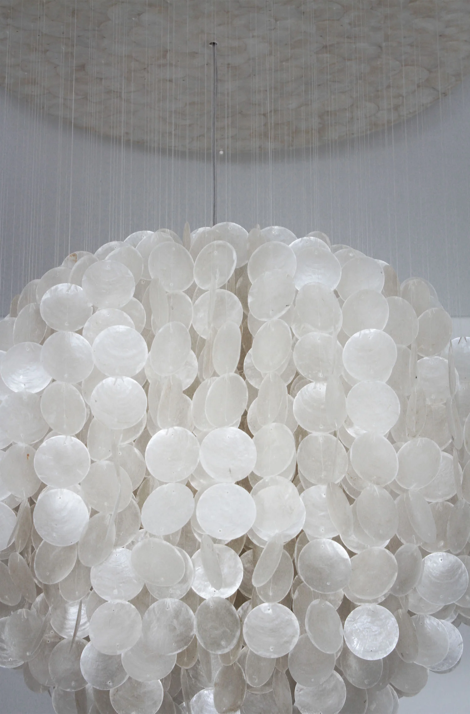 Shell lamp | Carbono Atelier