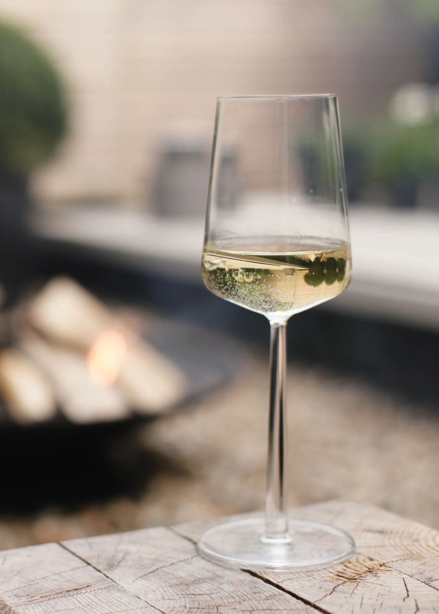 Glass of white wine and firebowl | Design Hunter