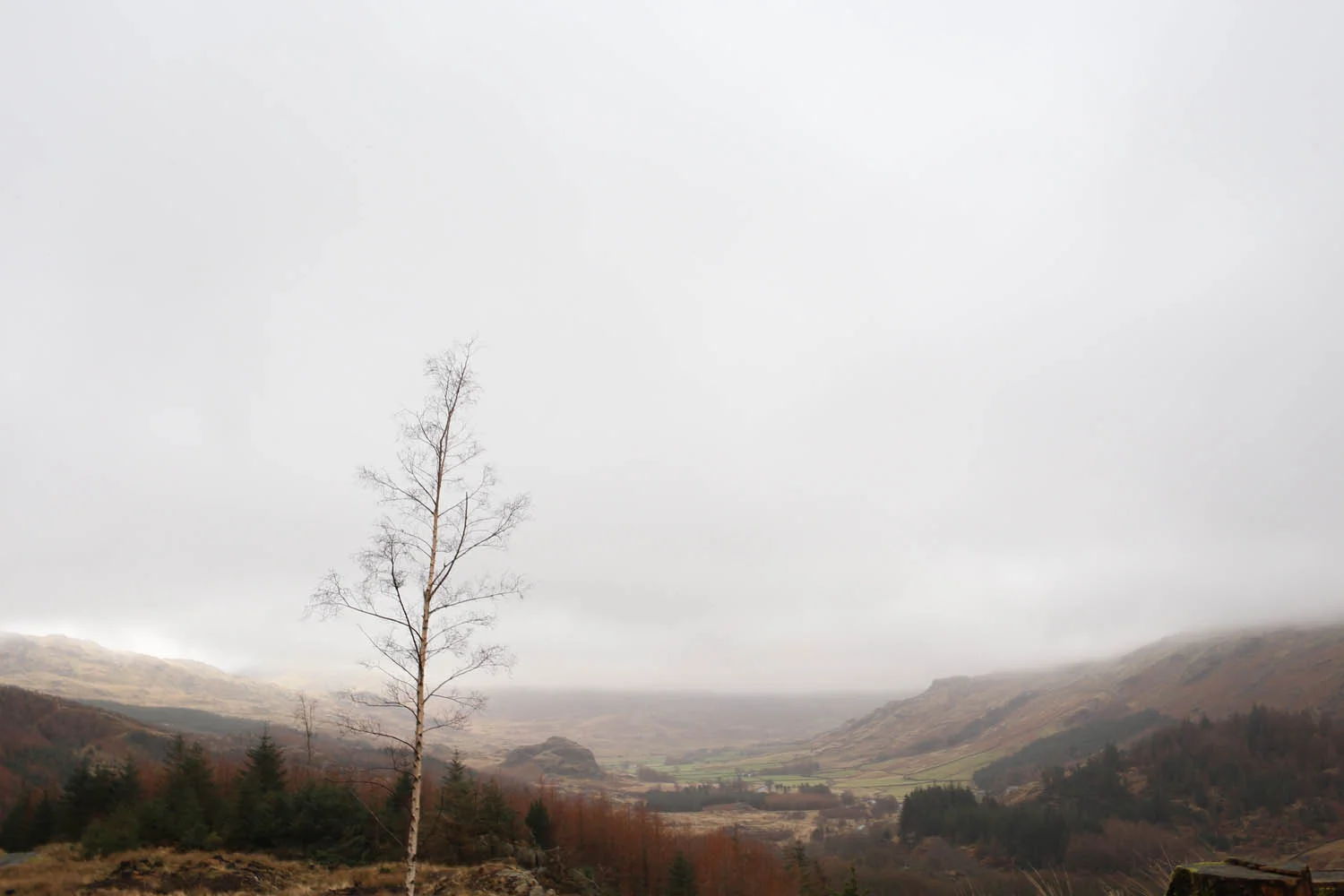 Dog friendly Lake District | Design  Hunter