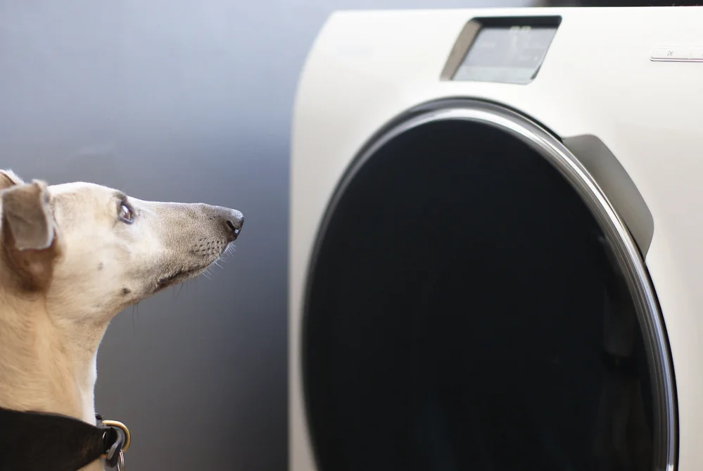 Samsung Ecobubble washing machine