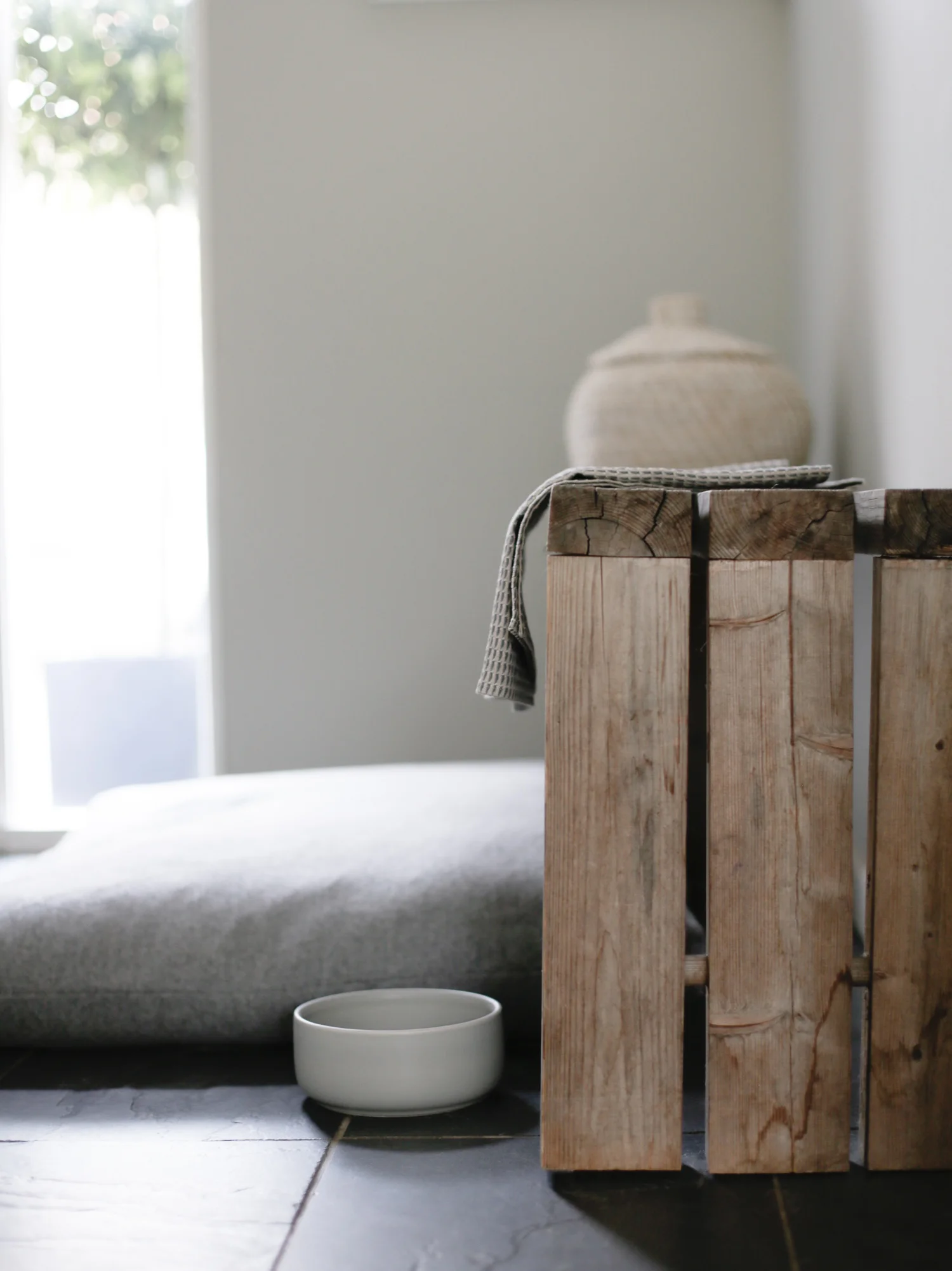 Kind for Dogs-1-18.jpg