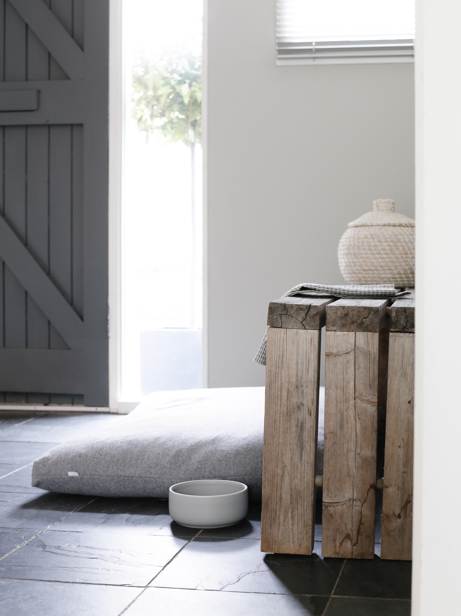 Kind for Dogs-1-15.jpg