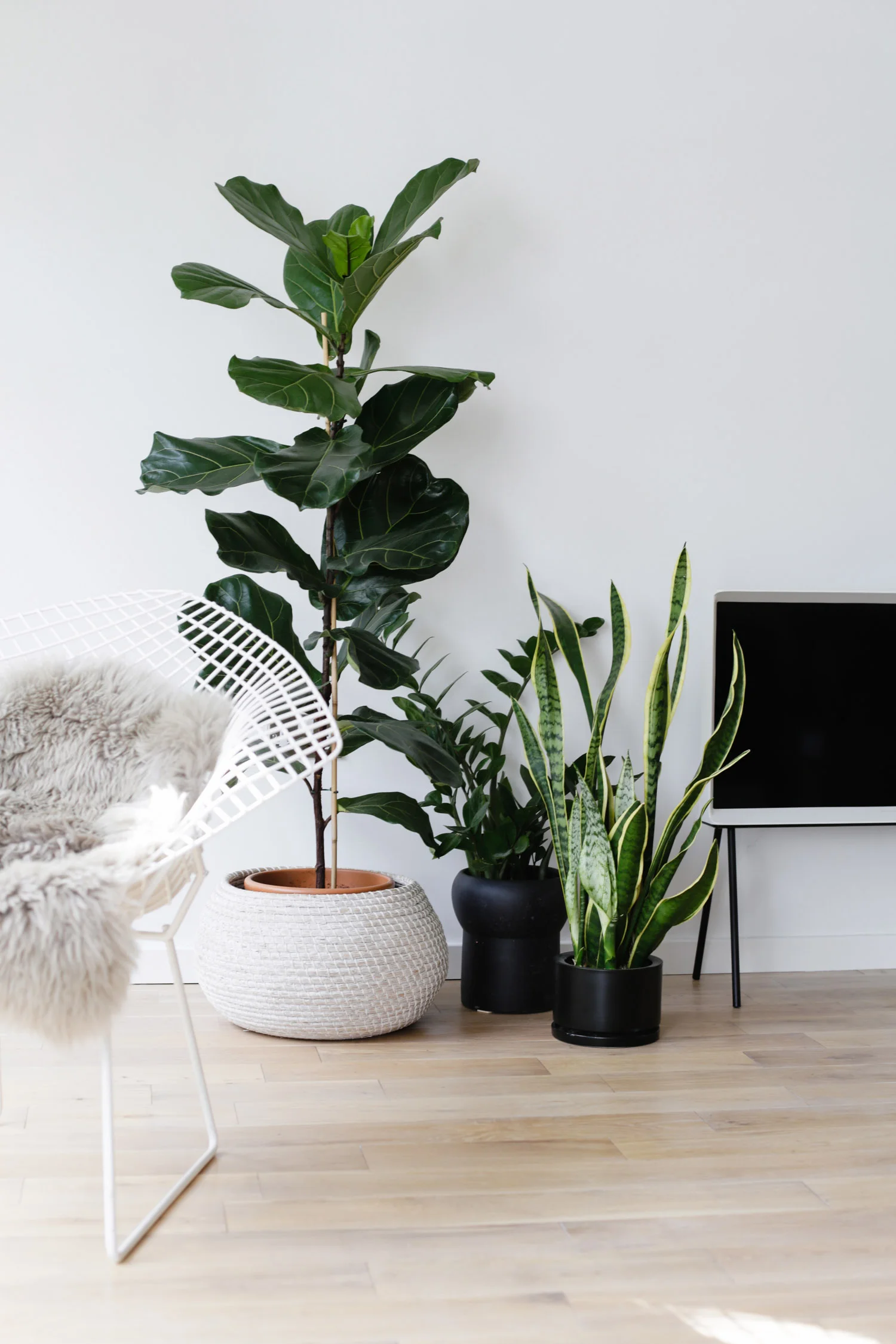 Living room - pale oak floor 1500px.jpg