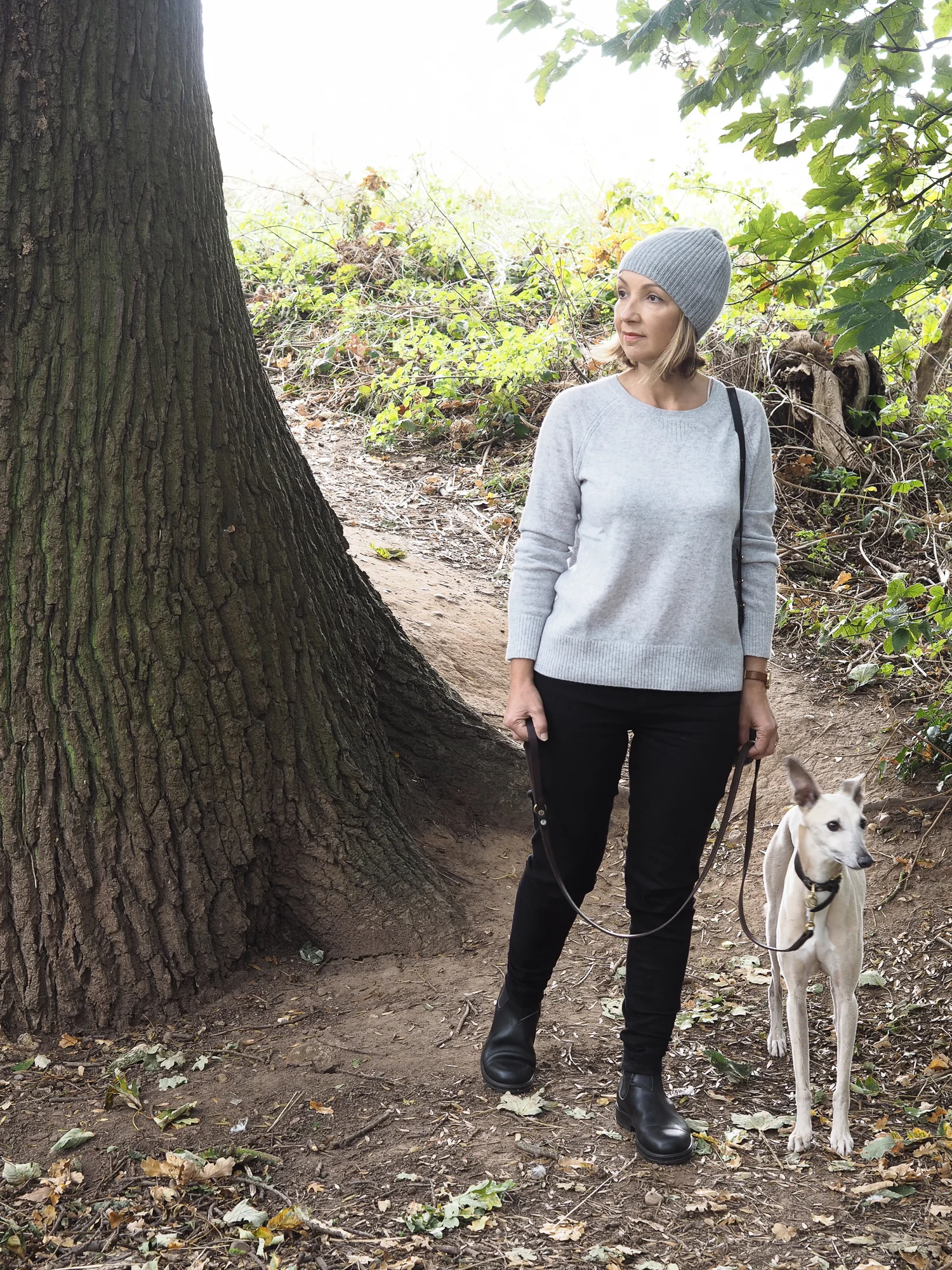 Autumn | Design Hunter